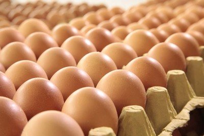 泸州鸡蛋检测价格,鸡蛋检测机构,鸡蛋检测项目,鸡蛋常规检测